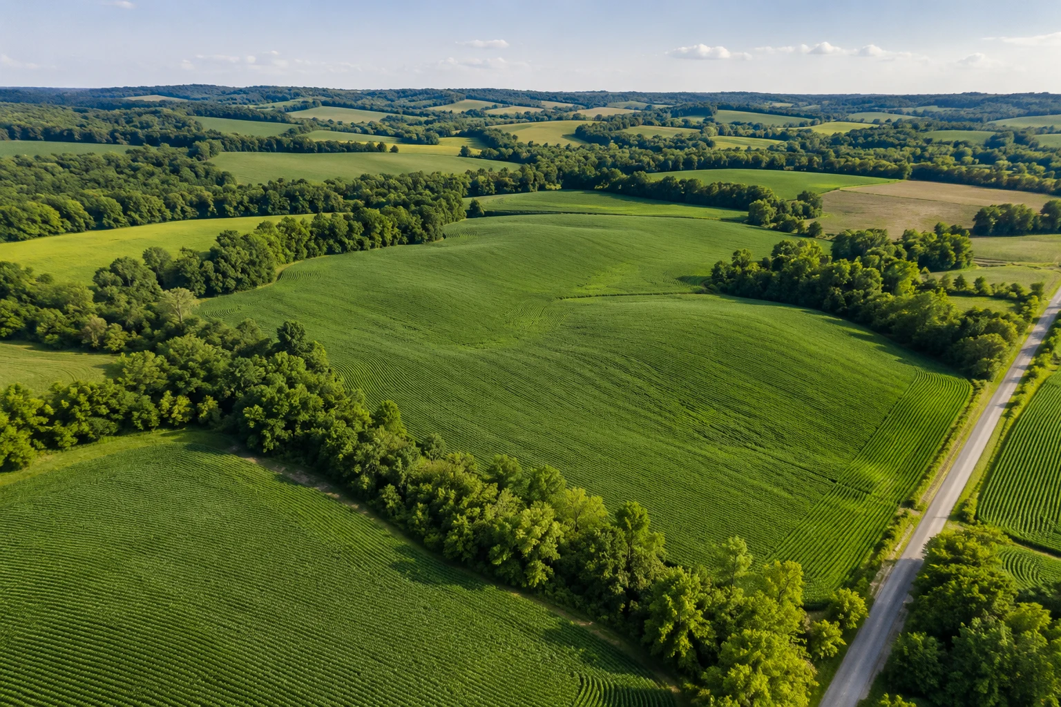 Illustrative aerial view of farmland