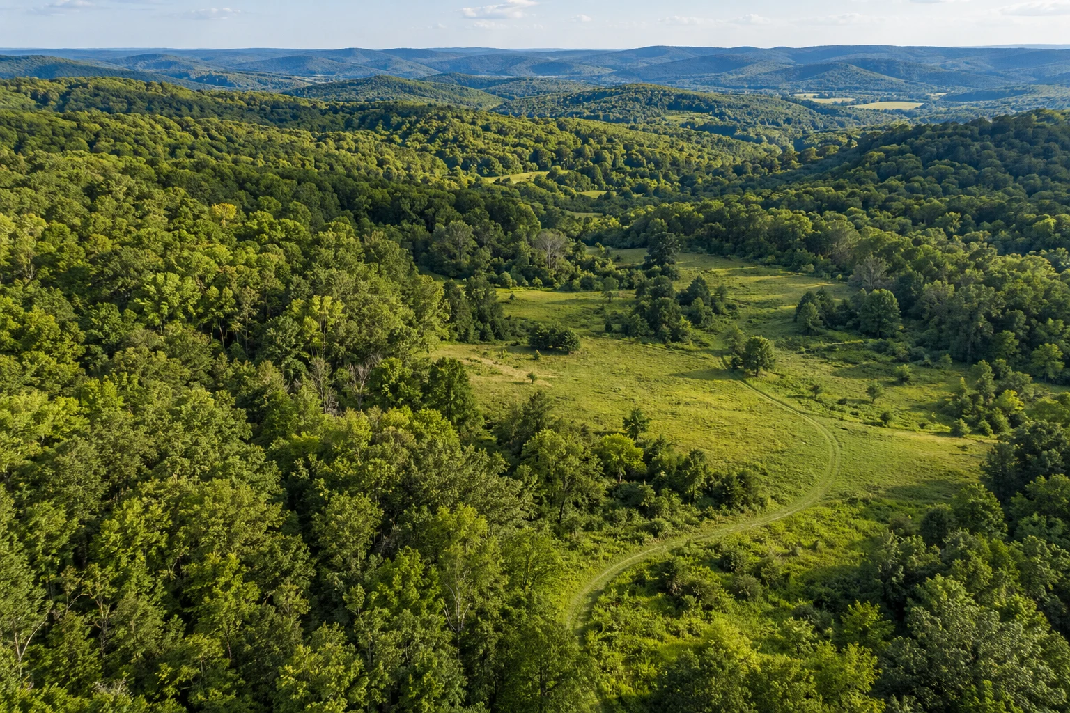 Illustrative aerial view of wooded recreational land